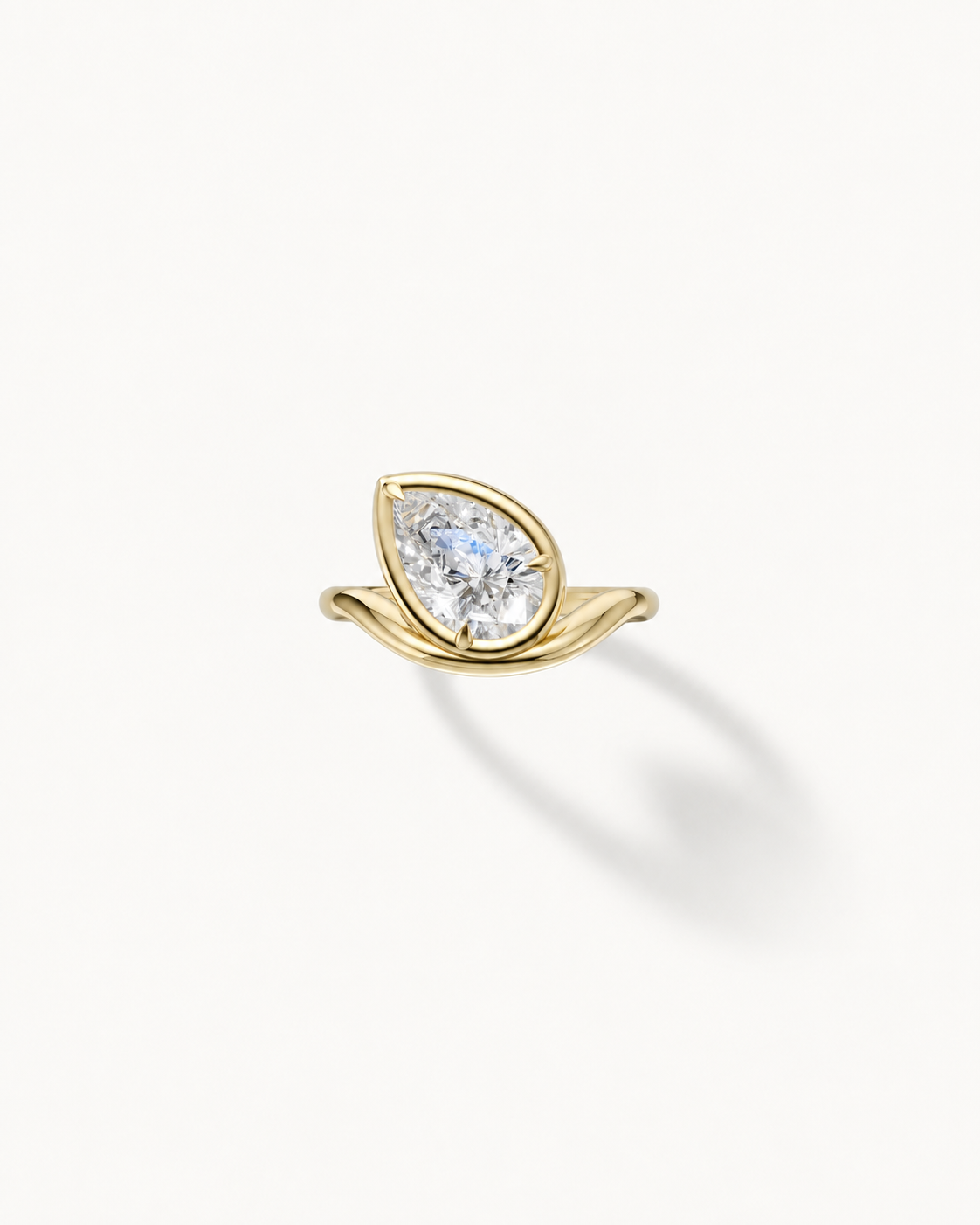 The Horizon Ring