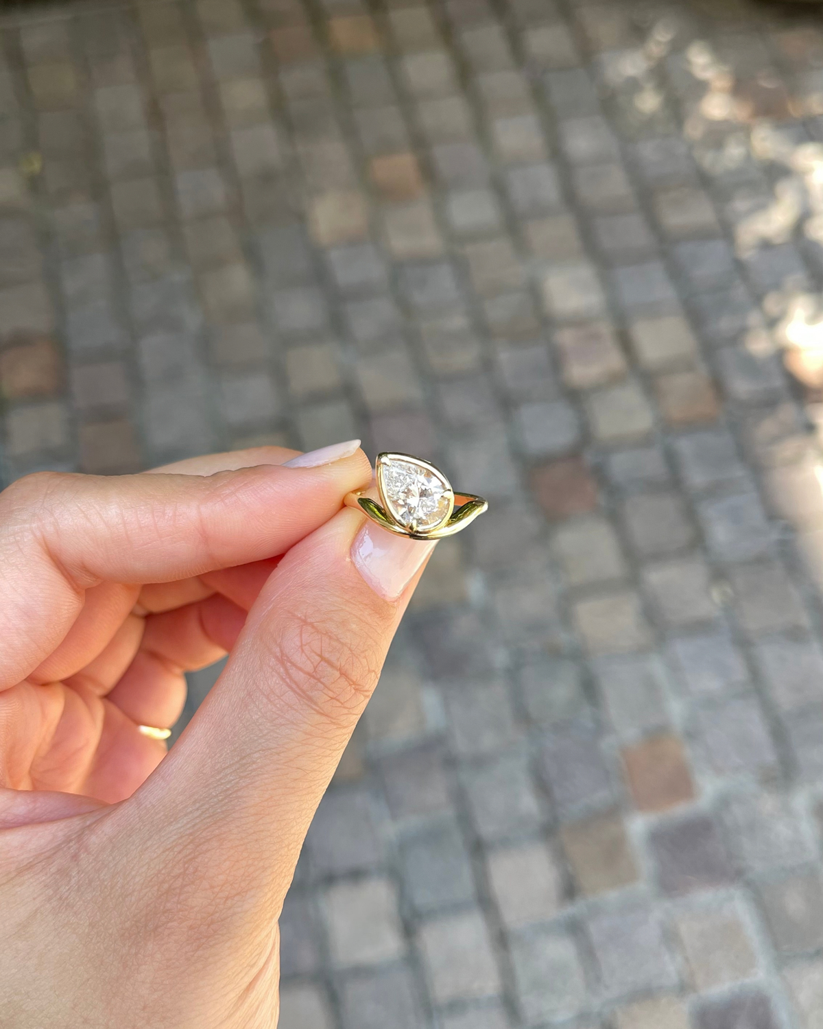 The Horizon Ring